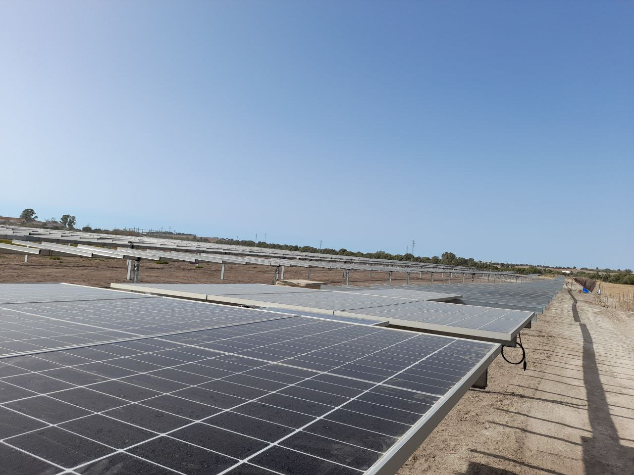 Q Cells Desarrolla Y Vende Una Planta Solar Fotovoltaica De Mw En